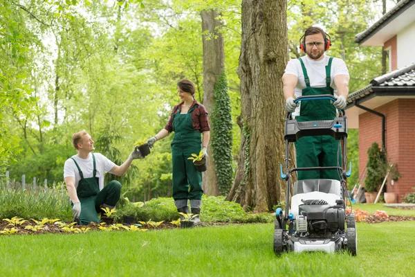 Top Lawn Care Services in Buford for a Perfect Yard