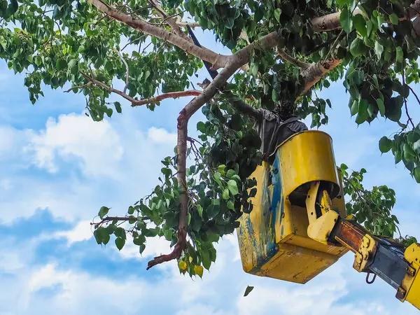 High-Quality Plastic Products, Engineered to Last