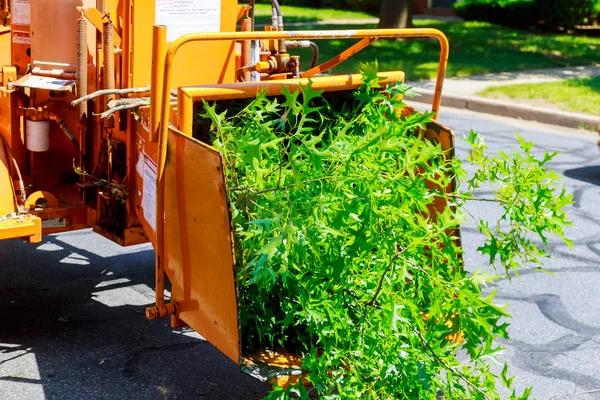 24/7 Emergency Tree Service Near Me You Can Depend On