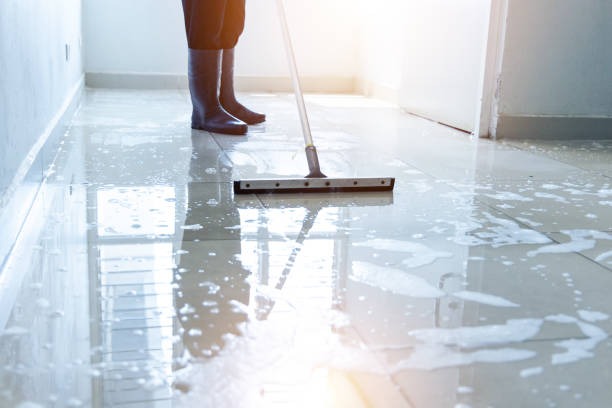 Reliable Local Commercial Cleaning Services Boise for Your Company