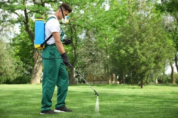 Lawn Treatment Tips for a Healthy Green Yard