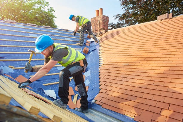 Cost-Effective Waterproofing for Basements That Saves Money