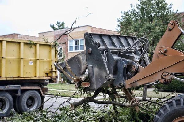 Trusted Tree Removal in Adrian, Michigan with Competitive Pricing