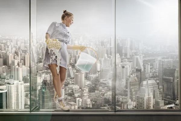 Reliable Residential Window Cleaning in Plano